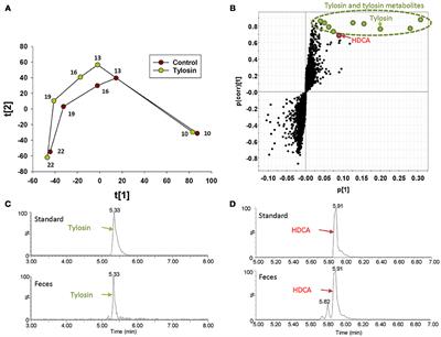 Fecal Hyodeoxycholic Acid Is Correlated With Tylosin-Induced Microbiome Changes in Growing Pigs